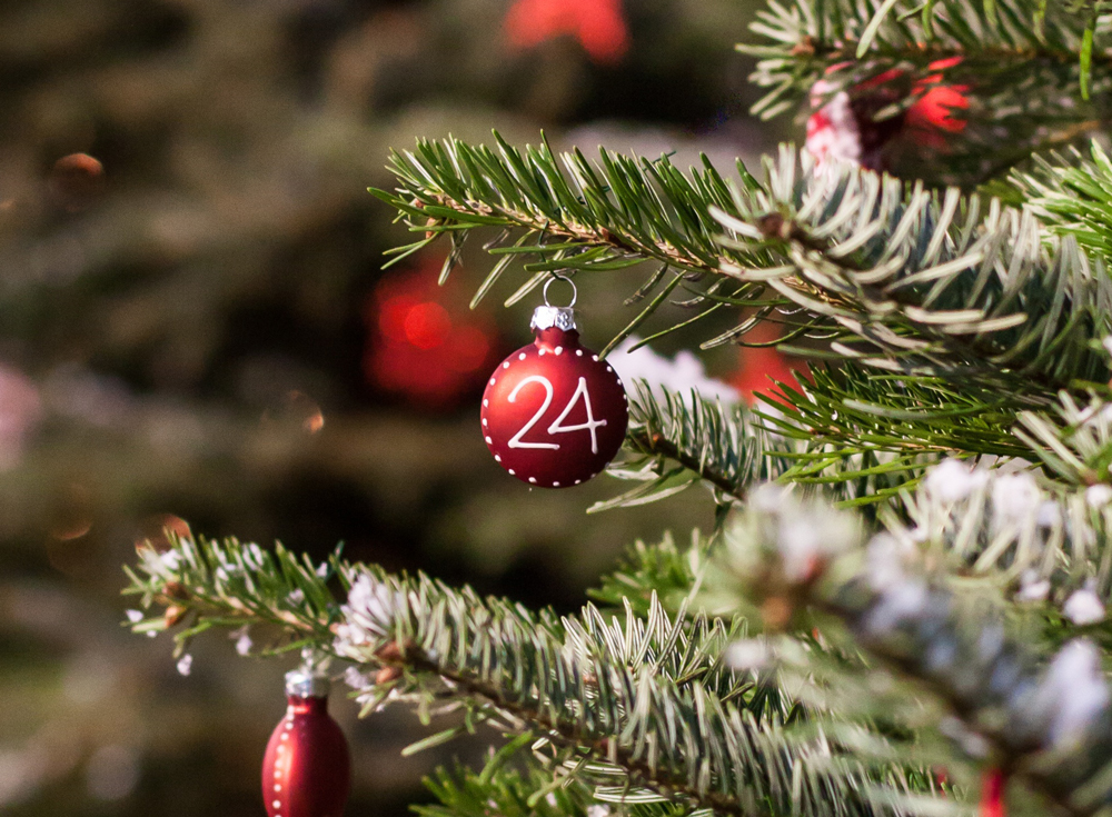 Pranzo-Natale-2019-Ristorante-Il-Civel-Novara-Casalbeltrame